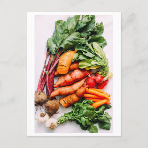 Carte Postale Photo Vegetable Medley