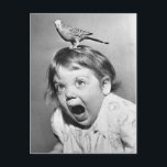 Carte postale photo vintage<br><div class="desc">Oh,  les horreurs !</div>