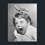 Carte postale photo vintage<br><div class="desc">Oh,  les horreurs !</div>