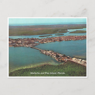 Carte Postale Photo vintage de Matlacha et Pine Island Florida