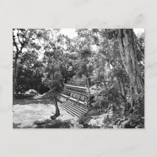 Carte Postale Photo vintage des ruines maya du Honduras 