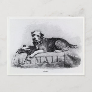 Carte postale photo vintage du chien de la poste a