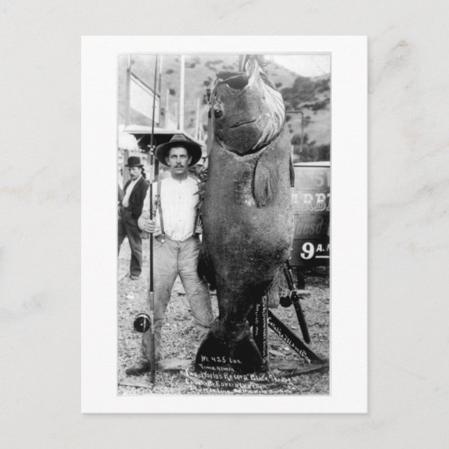 Carte Postale Photo vintage d'un homme au poisson géant (Devant)