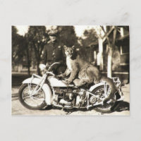 photo vintage d'un policier sur la moto puma