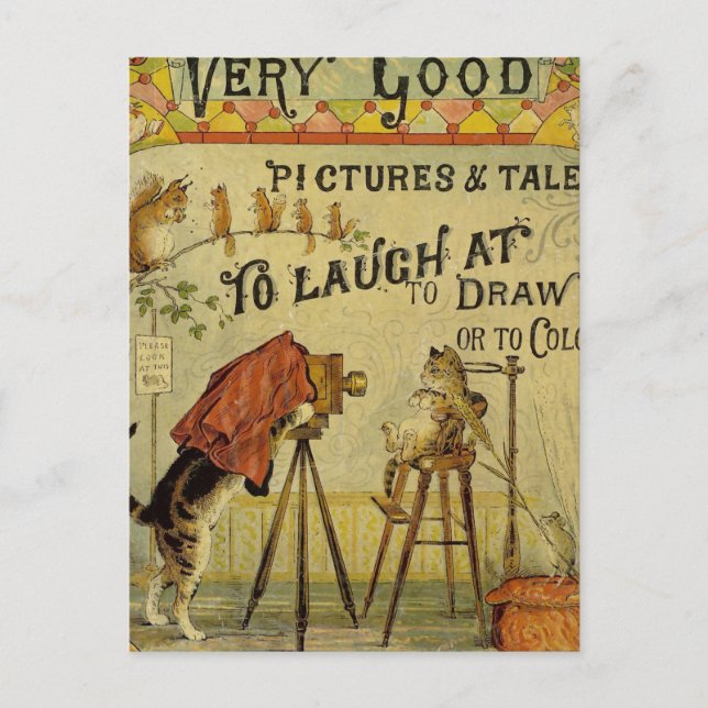 Carte Postale Photographe de chat aux chats (Devant)