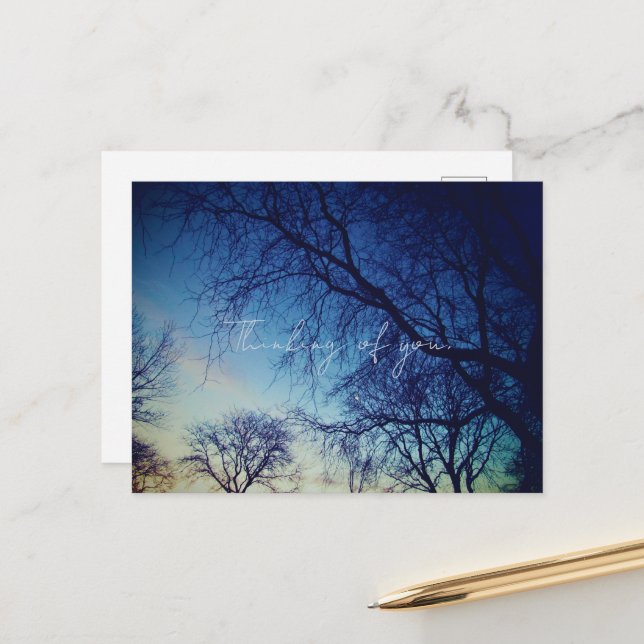 Carte Postale Photographie d'arbres (Devant/Arrière en situation)