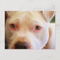 Photographie d'art de chiots Pitbull aux yeux de c
