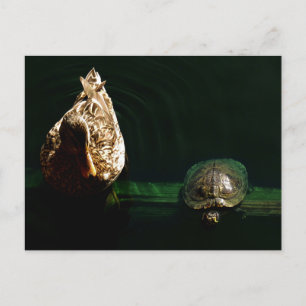 Carte Postale Photographie d'art de la tortue et du canard