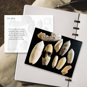 Carte Postale Photographie de coquillages olives