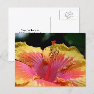 Carte Postale Photographie de fleur d'hibiscus jaune 