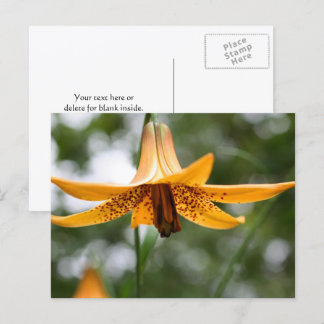 Carte Postale Photographie de fleurs de lys canadiennes personna