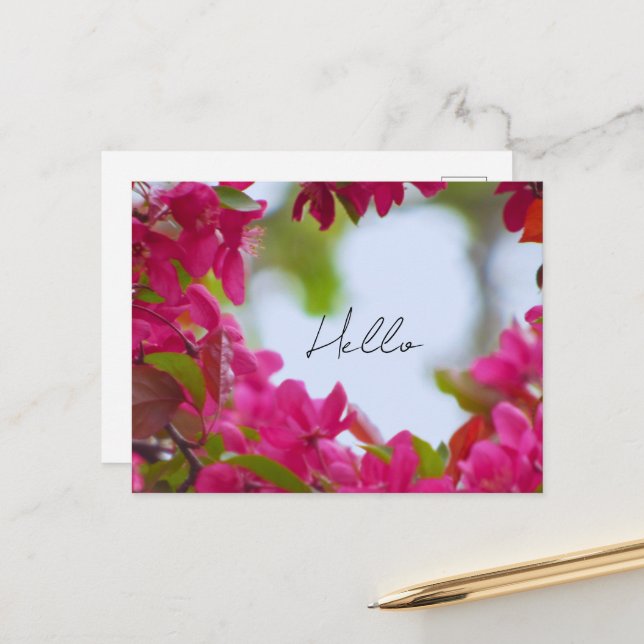 Carte Postale Photographie de fleurs de printemps (Devant/Arrière en situation)