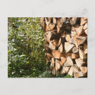Carte postale Photographie de la nature en bois de