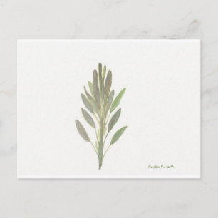 Carte Postale Photographie de l'art plante botanique de l'herbe
