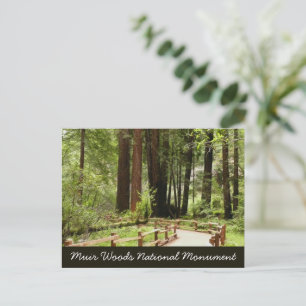 Carte Postale Photographie de nature sur le sentier I de Muir Wo