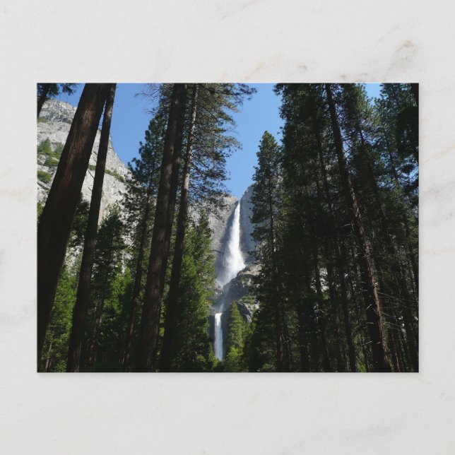 Carte Postale Photographie de paysage de Yosemite Falls et de bo (Devant)