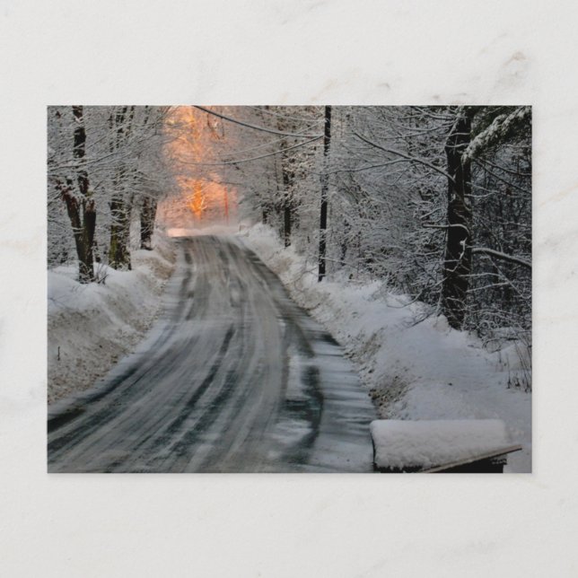 Carte Postale Photographie de soleil matinal d'hiver (Devant)