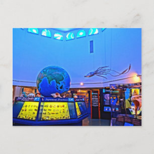 Carte Postale Photographie de voyage Sanibel Island Florida Shel