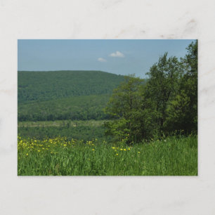 Carte Postale Photographie d'été dans les Laurel Highlands en Pe