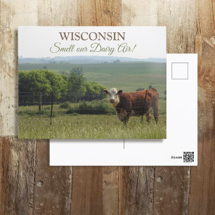 Carte Postale Photographie du Midwest   Belle vache et paysage