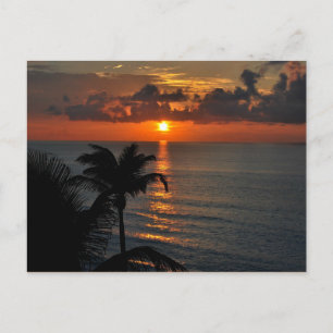 Carte Postale Photographie du paysage de Tropical Sunset (Cancun