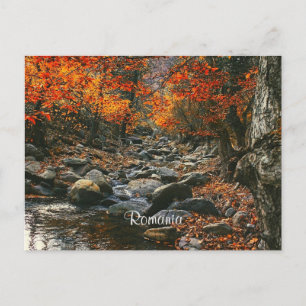 Carte Postale Photographie du paysage roumain