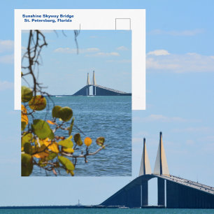 Carte Postale Photographie du pont Sunshine Skyway de Tampa Bay