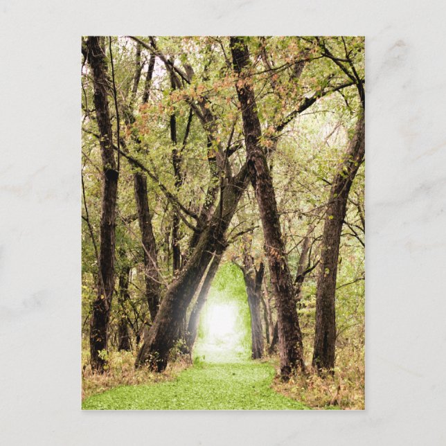 Carte Postale Photographie du "Portail" (Devant)