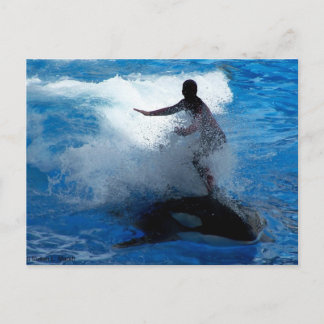 Carte Postale Photographie d'un entraîneur chevauchant une orque