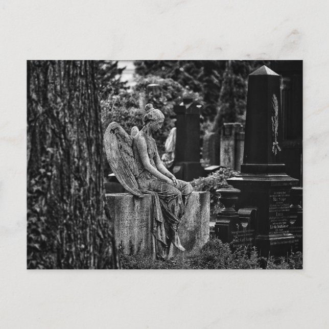 Carte Postale Photographie en noir et blanc ange mélancolique (Devant)