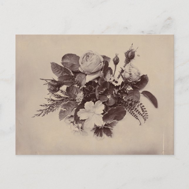 Carte Postale Photographie florale Art vintage (Devant)