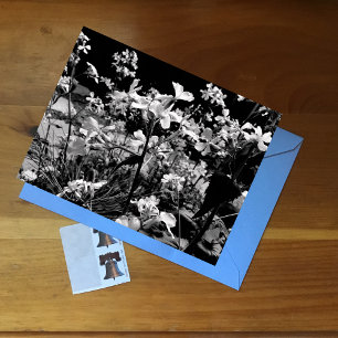 Carte Postale Photographie florale noir et blanc Fleurs de print
