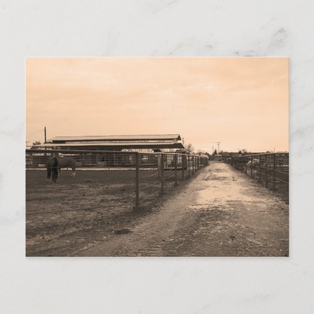 Carte Postale Photographie Sepia Tone (Devant)