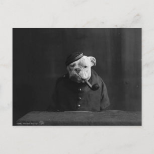 Carte Postale Photographie vintage amusante d'un chien en unifor