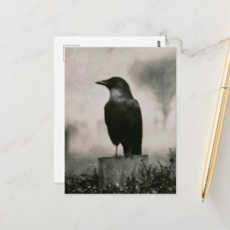 Carte Postale Photographie vintage de corbeau magnifique