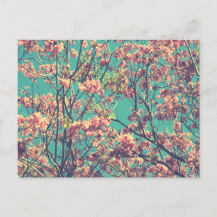 Carte Postale Photographie vintage de fleurs roses