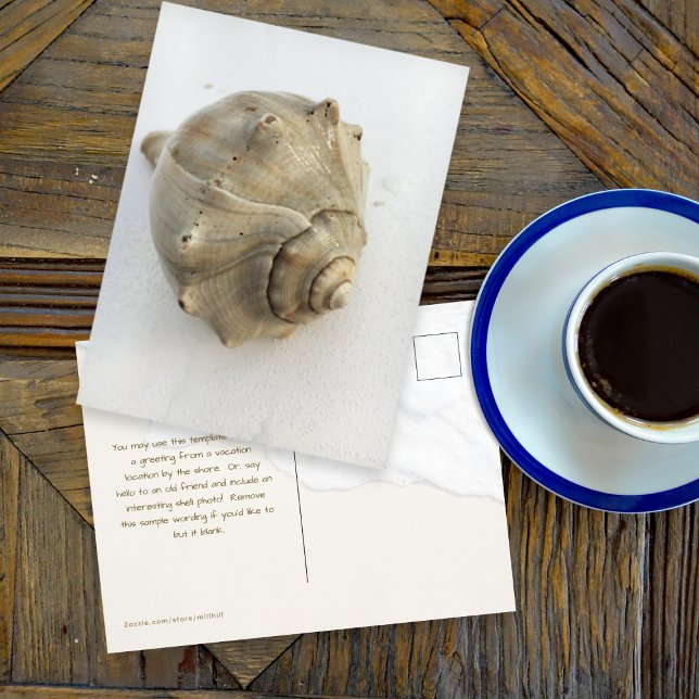 Carte postale photographique de coquille de Buccin (Créateur téléchargé)