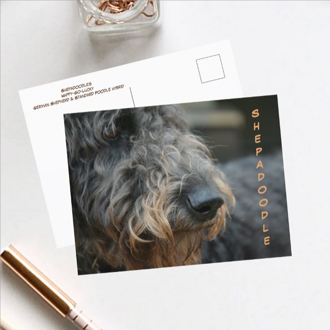Carte postale photographique en gros plan du profi (Créateur téléchargé)