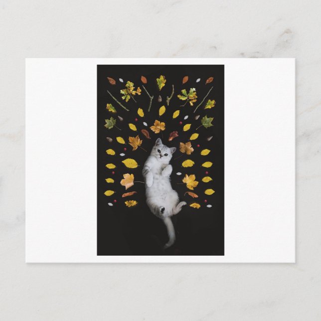 CARTE POSTALE PHOTOGRAPHIQUE FEUILLE (Devant)