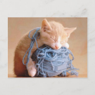 Carte Postale Photos, Cadeaux - Personnaliser!