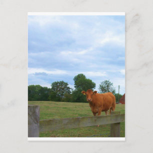 Carte Postale Photos de campagne en anglais