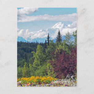 Carte Postale Photos de la flore du paysage de Denali en Alaska