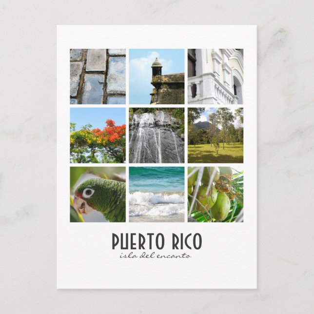 Carte Postale Photos de Porto Rico (Devant)