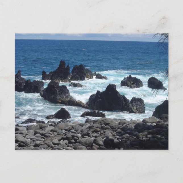 Carte Postale Photos Hawaiian Kine (Devant)