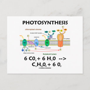 Carte Postale Photosynthèse (Dioxyde de Carbone + Eau)
