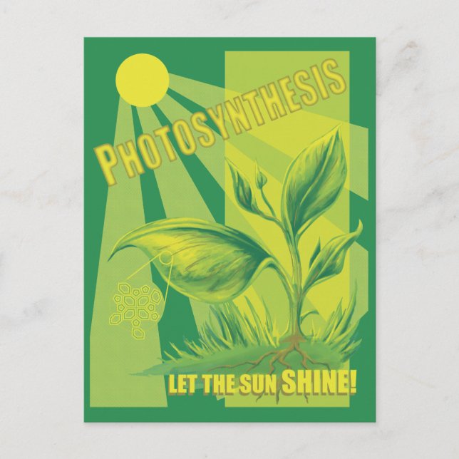 Carte Postale Photosynthesis (Devant)
