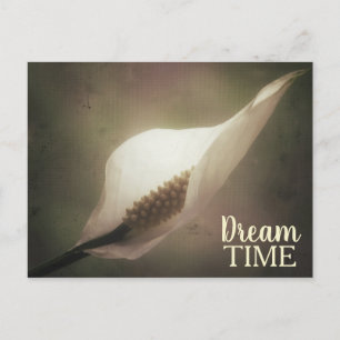 Carte Postale Phrase du temps de la paix Lily Dream