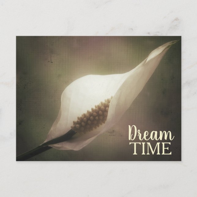 Carte Postale Phrase du temps de la paix Lily Dream (Devant)