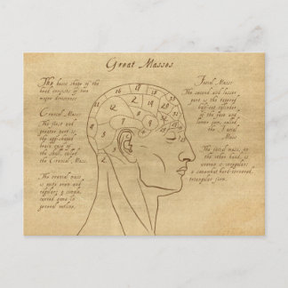 Carte Postale Phrenology Diagram