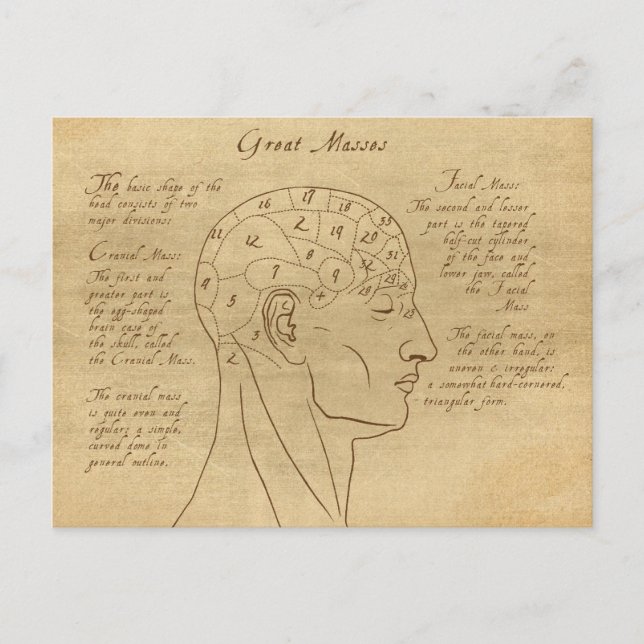 Carte Postale Phrenology Diagram (Devant)